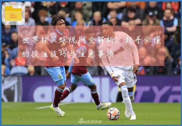 世界杯买球规则全解析：新手必懂的投注技巧与注意事项