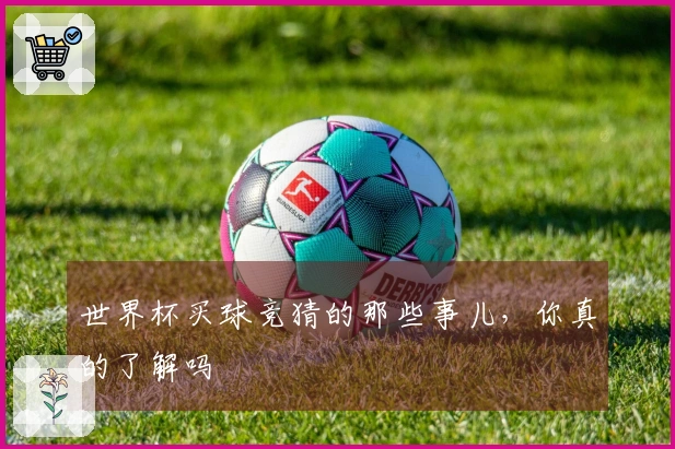 世界杯买球竞猜的那些事儿，你真的了解吗