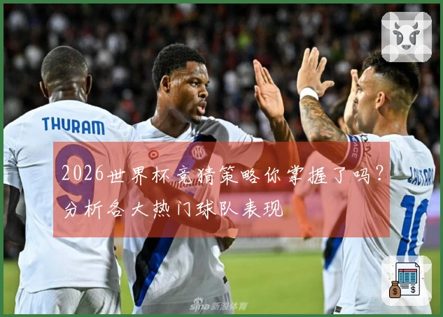2026世界杯竞猜策略你掌握了吗？分析各大热门球队表现
