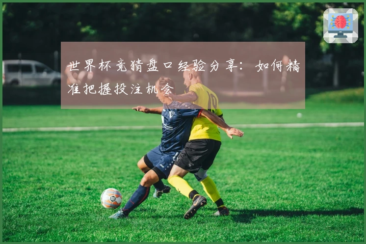 世界杯竞猜盘口经验分享：如何精准把握投注机会