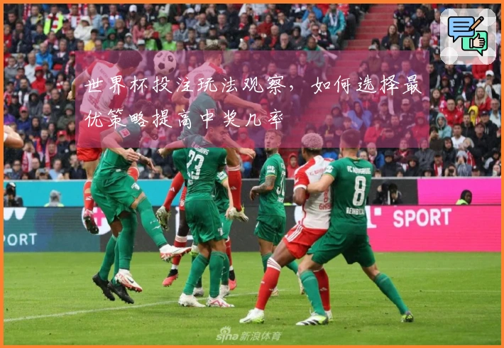 世界杯投注玩法观察，如何选择最优策略提高中奖几率