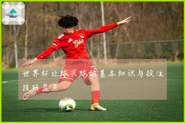 世界杯让球买球的基本知识与投注技巧盘点