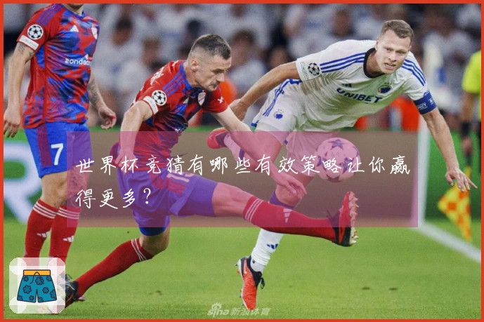世界杯竞猜有哪些有效策略让你赢得更多？